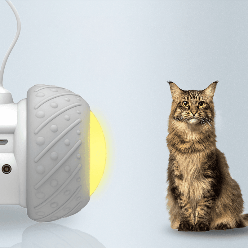 Brinquedo Eletrônico Inteligente para Gatos | Linha do Lar 2